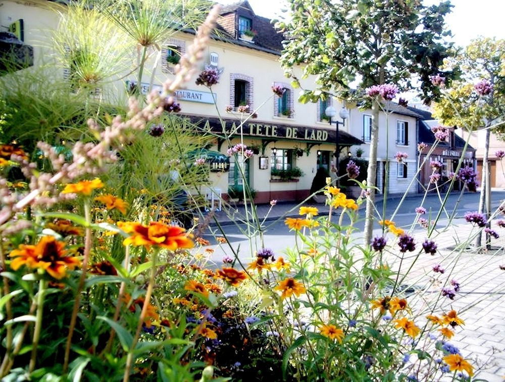 Logis Auberge A La Tete De Lard La Ferté-Imbault Exterior foto